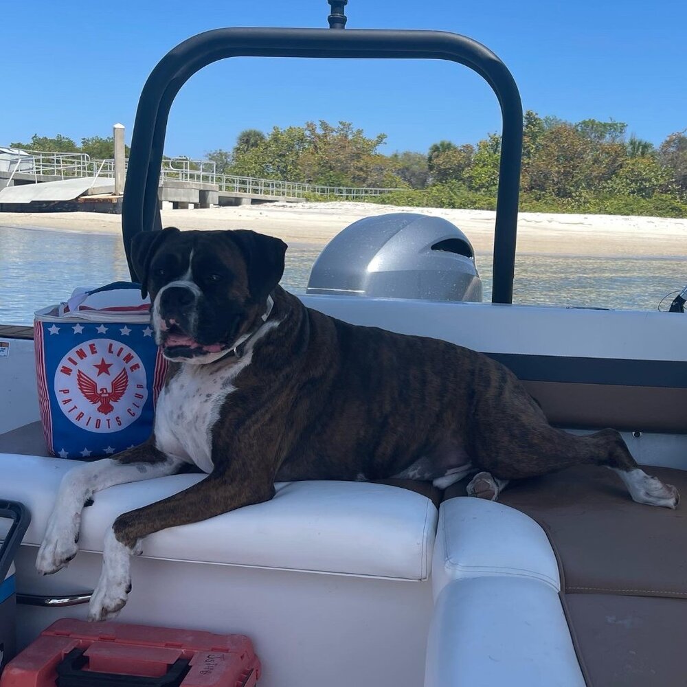 Hi Everyone, I am Katie!